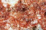 Ruby Red Vanadinite Crystals on Pink Barite - Morocco #82374-2